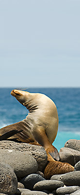 Galapagos Andes Multisport photo
